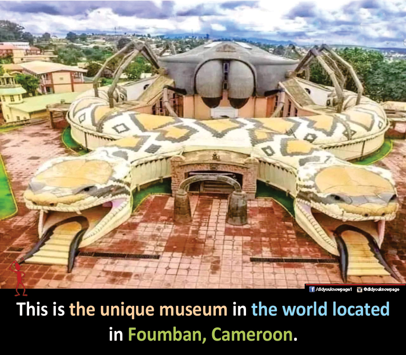 Unique Museum in the World-Foumban-Cameroon-Stumbit Did You Know